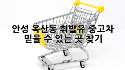 안성 옥산동 휘발유 중고차, 믿을 수 있는 곳 찾기🚗