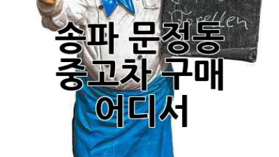 송파 문정동 중고차 구매, 어디서?