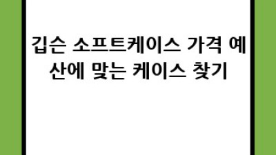 깁슨 기타를 위한 완벽한 소프트케이스 선택 가이드